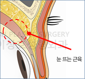 자료이미지