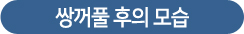 영상제목